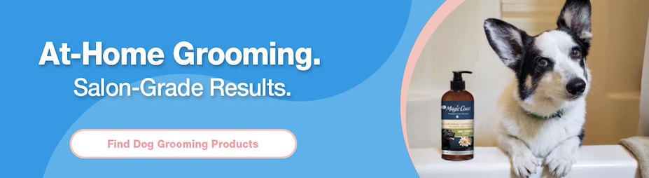 find dog grooming products
