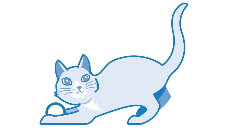 Friendly cat