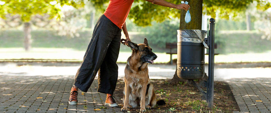 Person disposing a doggy bag.
