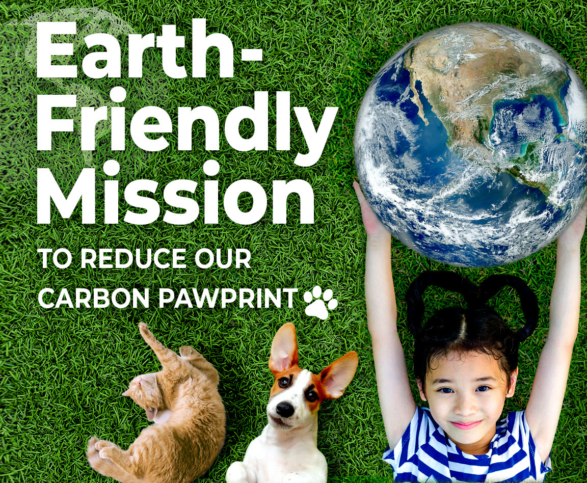 Earth-Friendly Mission graphicl.