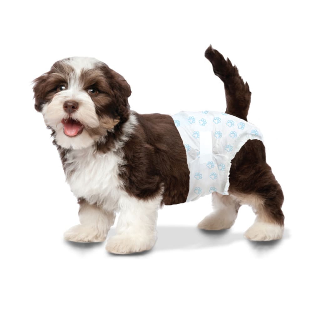 x-small-diaper-swatch